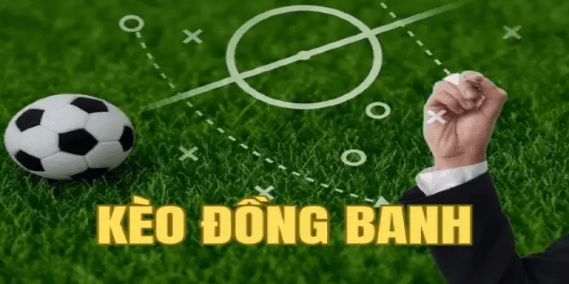 Biểu đồ tỷ lệ thắng kèo chấp đồng banh 