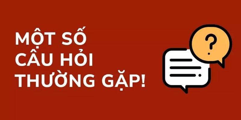 FAQ và hướng dẫn cơ bản cho người mới tại 8XX